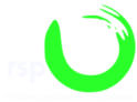 RSP México se enfoca  en empaque especializado para embalaje de productos